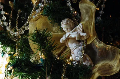 Небесные ангелы на рождество 2 года в молитвах красивых ангела с более  размытие ангелами и ягодами праздника Стоковое Фото - изображение  насчитывающей анжелы, отпразднуйте: 204406616