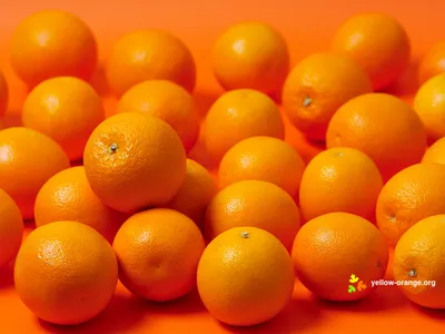 Скачать фотообои для рабочего стола: Фото апельсины, обои на рабочий стол