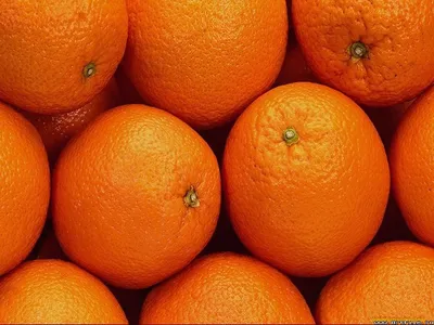 Обои Апельсины Еда Цитрусы, обои для рабочего стола, фотографии апельсины,  еда, цитрусы Обои для рабочего стола, скачать обои картинки заставки на рабочий  стол.