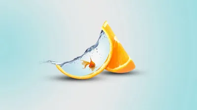 Обои апельсин, долька, рыба, вода картинки на рабочий стол, фото скачать  бесплатно