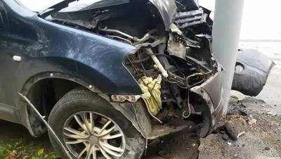 Столкновение с лосем и смерть на дороге — спасатели в воскресенье дважды  выезжали на аварии - Минская правда