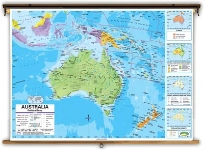Австралия и Океания. Политическая карта - Части света - Каталог | Каталог  векторных карт
