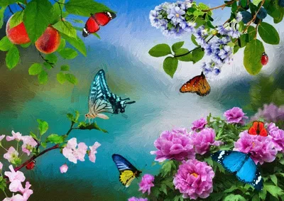 обои : Бабочки, цветы, Полет, Абстрактные, Красочный 1920x1080 - wallup -  651603 - красивые картинки - WallHere