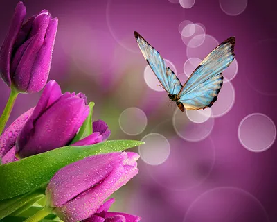 Картина «Бабочки на цветах весной», Радик Сивак