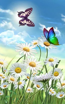 Картинки бабочки на цветах фотографии