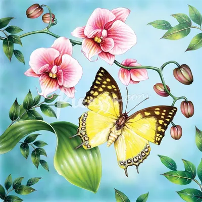 Картинки бабочки цветы детские (70 фото) » Картинки и статусы про  окружающий мир вокруг