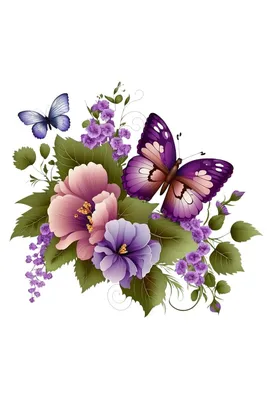 Картинки бабочка роза Орхидеи Цветы