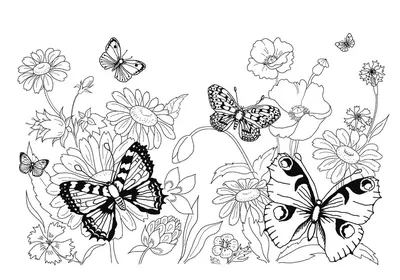 Обои на рабочий стол Яркие бабочки, цветы и искры на черном фоне, обои для  рабочего стола, скачать обои, обои бесплатно