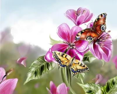 монаршие бабочки на розовых и голубых цветах в сказочном саду. осенний фон.  сад чудес. Стоковое Фото - изображение насчитывающей фауна, насекомое:  223804042