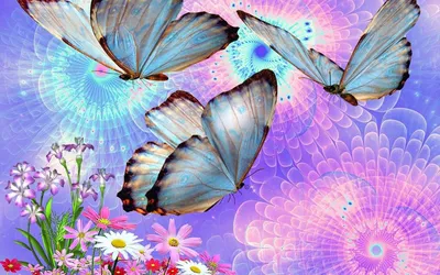 Обои на рабочий стол Бабочки летают над цветами, обои для рабочего стола,  скачать обои, обои бесплатно