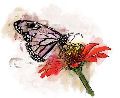 Нарисованные цветы с красивыми бабочкамм - обои на телефон