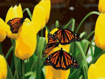 бабочки и цветы на черном фоне цифровое искусство Ai, цветы цифровое  искусство, бабочки ай арт, бабочка фон картинки и Фото для бесплатной  загрузки