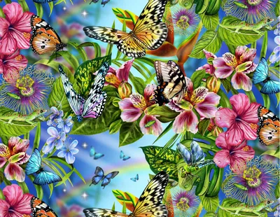 Бабочки, цветы и переменчивая погода