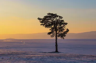 Природа Байкала | Ледяное стекло Байкала на закате…