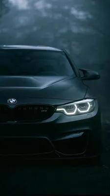 Обои на рабочий стол Автомобиль BMW M5 SC серого цвета стоит на фоне  осеннего леса и опавшей листвы, обои для рабочего стола, скачать обои, обои  бесплатно