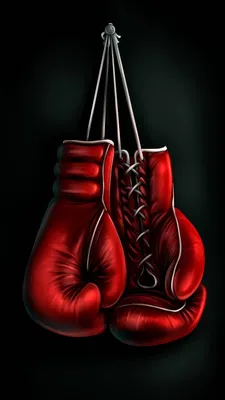 Boxing | Boxing gloves tattoo, Boxing gloves art, Boxing gloves drawing