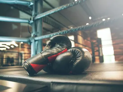 Как выбрать боксерские перчатки для тренировок - Ассоциация смешанных  единоборств \"Универсальные бойцы\"