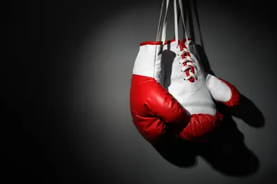 Боксерские перчатки FILIPPOV — FILIPPOV DYNASTY ® | Купить на официальном  сайте