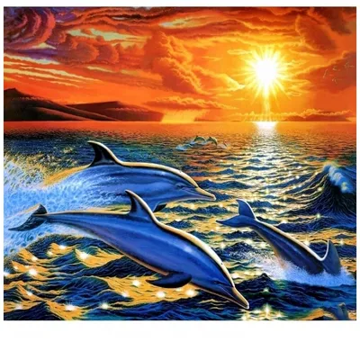 Скачать обои Подводный мир Andrew Annenberg, дельфины, море, закат на  рабочий стол 1600x1200