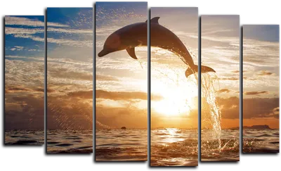 Картина по номерам \"Дельфины на закате\" 40х50 см на подрамнике — купить в  интернет-магазине по низкой цене на Яндекс Маркете