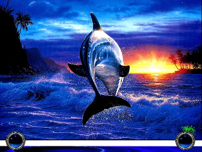 Фото реализация дельфины в закате» — создано в Шедевруме