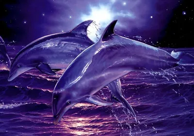Фото Дельфины над водой на фоне заката, by Mellodee