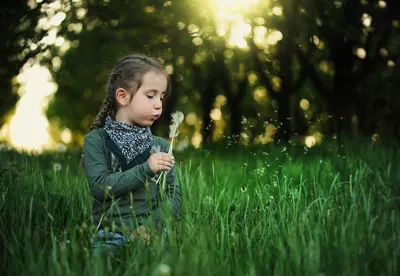 Как научить детей бережному отношению к природе