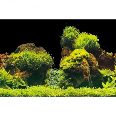 Аквариумный задний фон Aqua Nova Скалы/Растения 150x60см (ROCK/PLANTS XL)