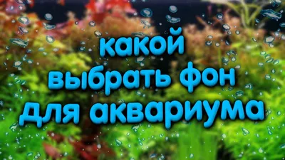 Задний фон для аквариума - 58 фото