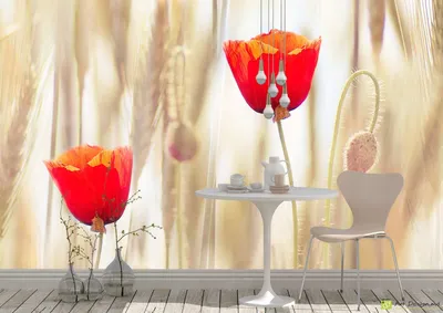 Фотообои на стену цветы - Красные Маки | Арт-Дизайн.MD фото обои для вашего  дома