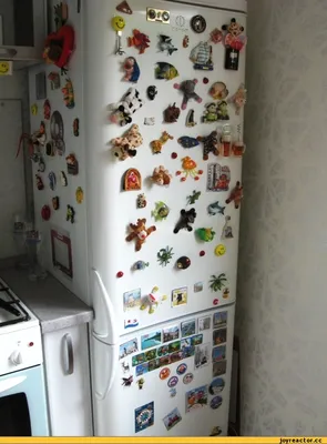 магниты холодильник / смешные картинки и другие приколы: комиксы, гиф  анимация, видео, лучший интеллектуальный юмор.