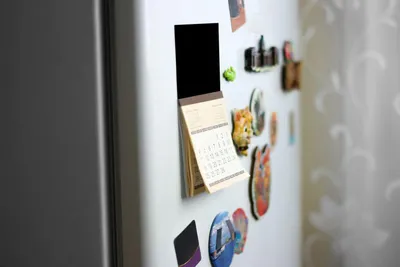 Вредно ли вешать магниты на холодильник: мнение специалистов | Новости  Одессы