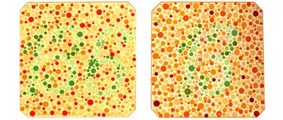 Полный тест на цветоощущение (дальтонизм) онлайн