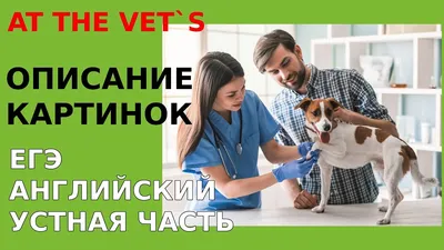 ЕГЭ Английский. Чтение, Задание 11 - Анастасия Шпаковская