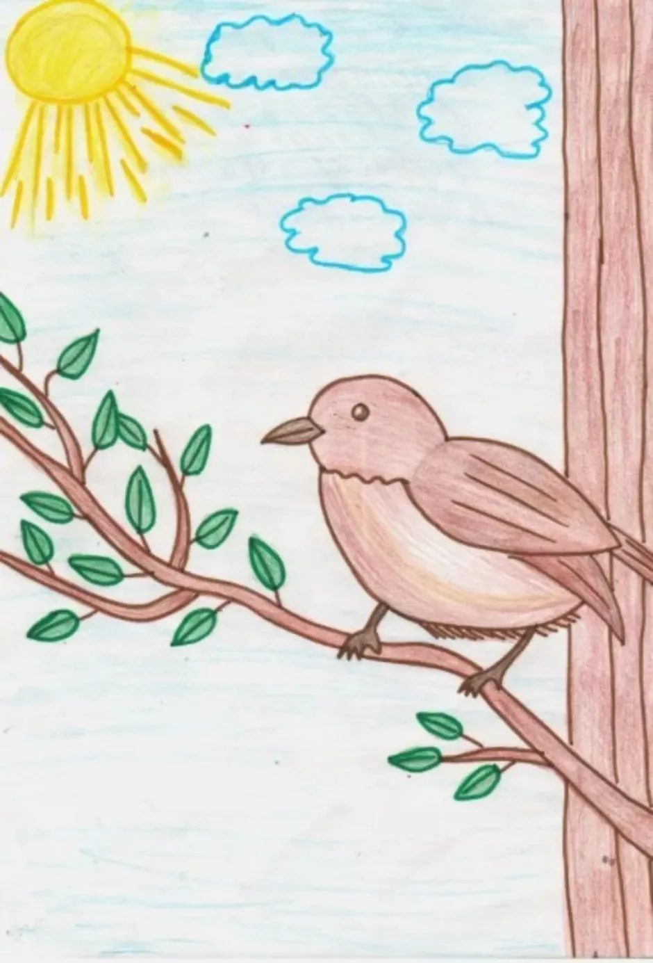 Рисунки весны для срисовки легкие. Рисунок на тему птицы. Рисунки весны для срисовки.