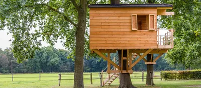 Tips for Building a Treehouse in Your Back Garden | Ryobi UK