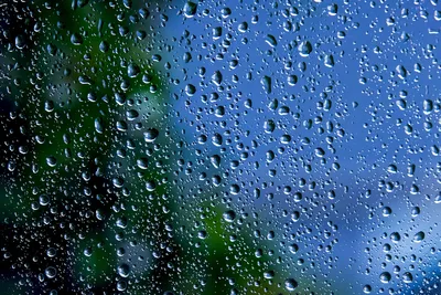 Дождь и стекло | Крохотный Мир | Дзен