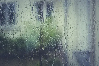 Капли Дождя На Стекле — стоковые фотографии и другие картинки Без людей -  Без людей, Горизонтальный, Дерево - iStock