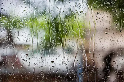 Дождь на стекле» картина Анненкова Дмитрия маслом на холсте — купить на  ArtNow.ru