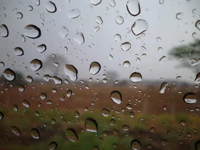 Осенний Дождь Стекло Автомобиля стоковое фото ©wedmov 218960006