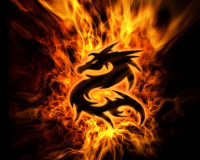 fypシ #oбои #обои #дракон #🐲 #🐉 Обои на телефон с драконом 😳💥все о... |  TikTok