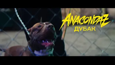 Anacondaz - Дубак (slowed) - YouTube