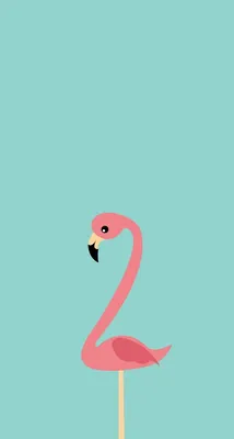 Pin by PetiteAyvie on Wallpaper | Flamingo wallpaper, Iphone background,  Free phone wallpaper