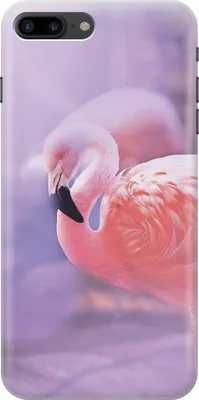 Обої з фламінго | Flamingo wallpaper, Iphone wallpaper, Cute wallpapers