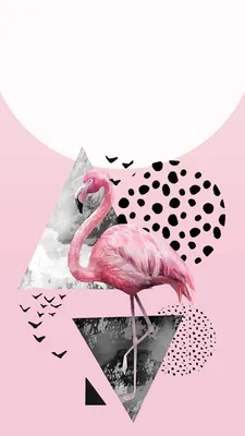 design | Фламинго обои, Африканские картины, Розовые обои