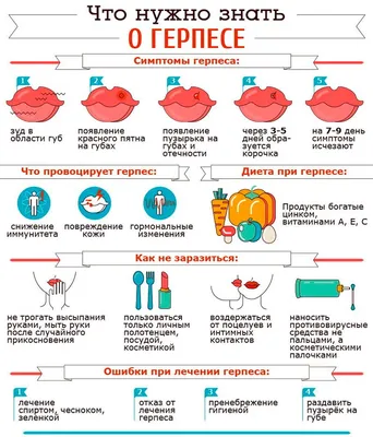 Простуда на губах: почему появляется герпес? | OmniusClinic | Дзен