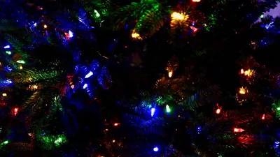 Обои гирлянды, елка, рождество, новый год, декорация, разноцветный картинки  на рабочий стол, фото скачать бесплатно