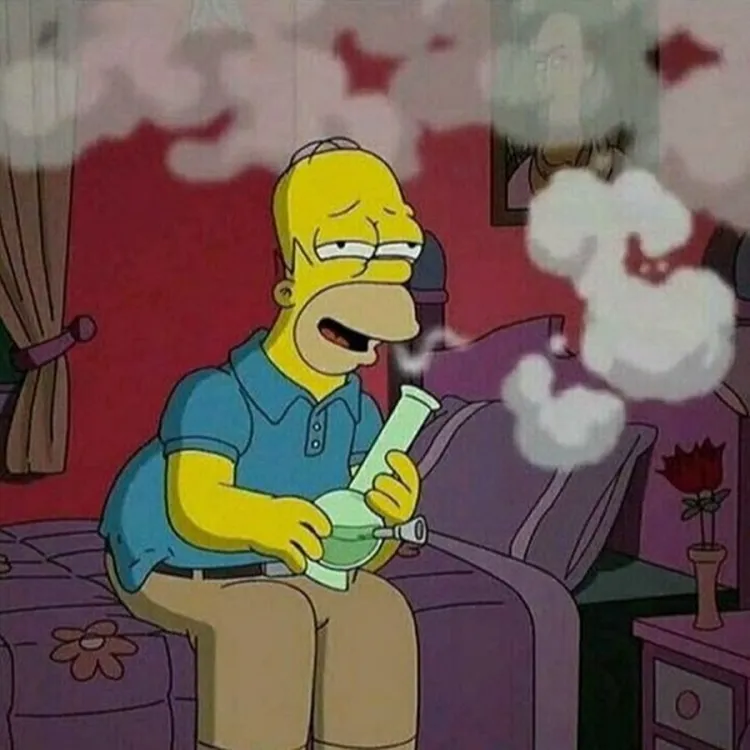 simpsons homer