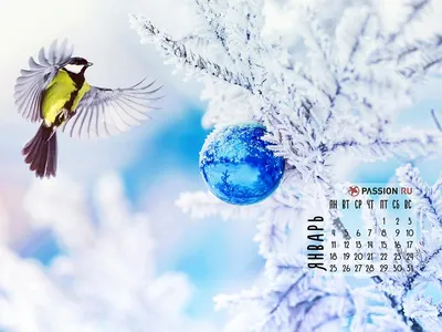 Красивые календари на рабочий стол (обои) январь 2020 - КонтурНорматив