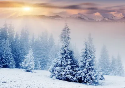 Обои Природа Зима, обои для рабочего стола, фотографии природа, зима, снег,  утро, Январь, альпы, горы, пьемонт, италия, свет Обои для рабочего стола,  скачать обои картинки заставки на рабочий стол.